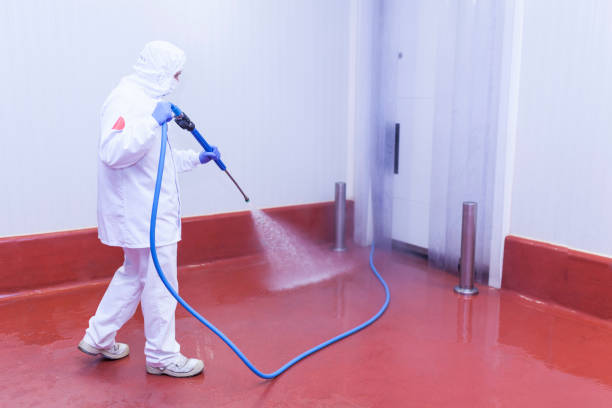 Best Pre-Holiday Cleaning  in Delavan, IL