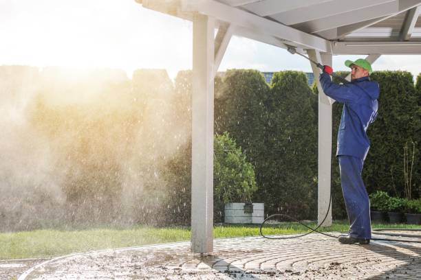 Best Fleet Vehicle Washing  in Delavan, IL