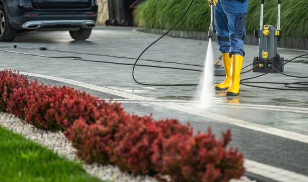 Best Warehouse Cleaning  in Delavan, IL